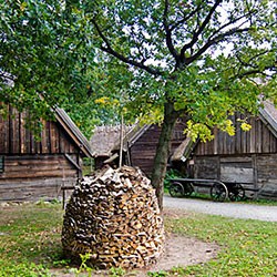 Skansen in Stockholm