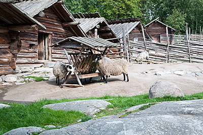 Fäbod på Skansen